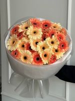 Букет из 25 минигербер кремовых оттенков