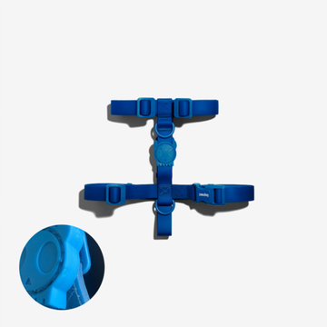 Шлейка NEOPRO BLUE Zee.Dog (дефект логотипа)