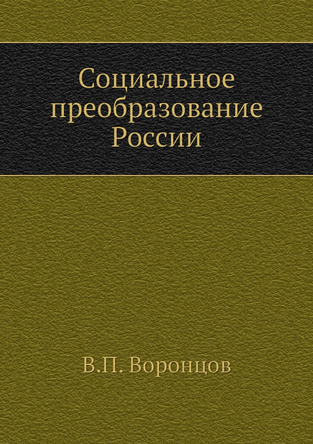 Социальное преобразование России | В.П. Воронцов