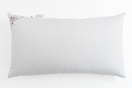 Подушка трехкамерная 3D упругая с бортиком 50х90 German Grass White Familie Down