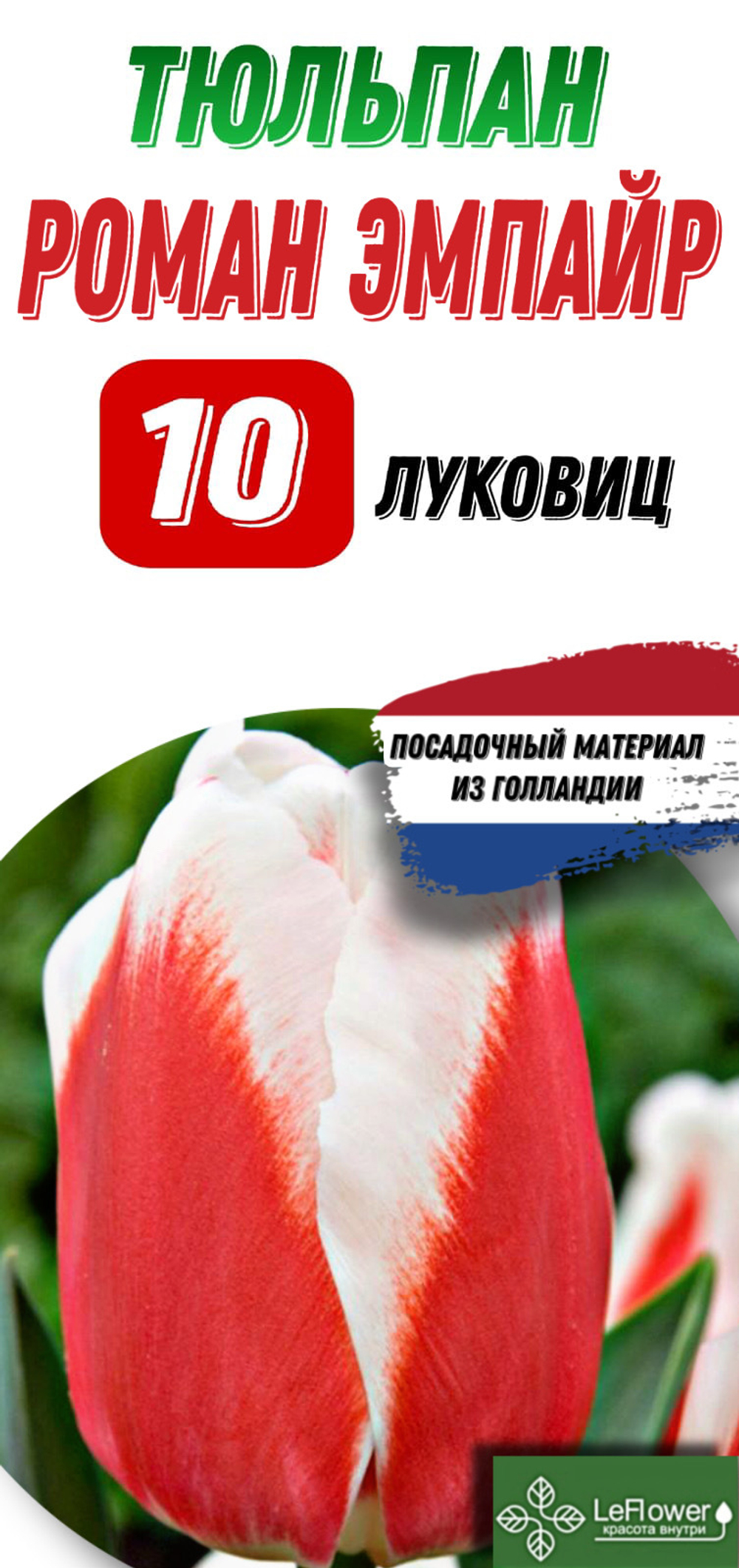 Тюльпан Луковица, Роман Эмпайр, 10шт