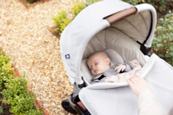 Детское автокресло Joie Calmi