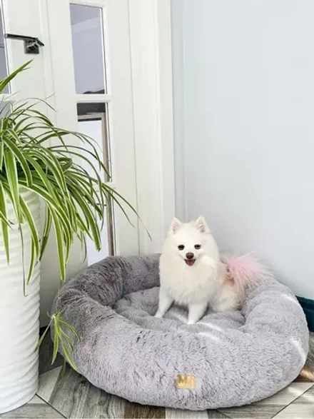 Лежанка для кошек и собак