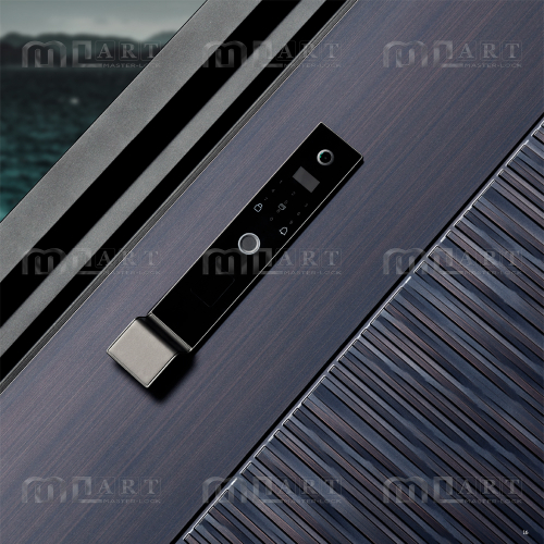 Входная дверь Ricci