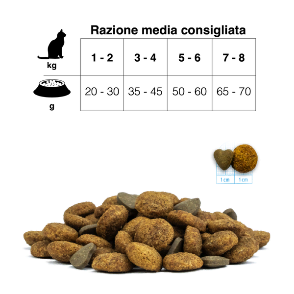 Сухой корм Forza 10 Urinary Active для кошек при заболеваниях мочевыводящих путей