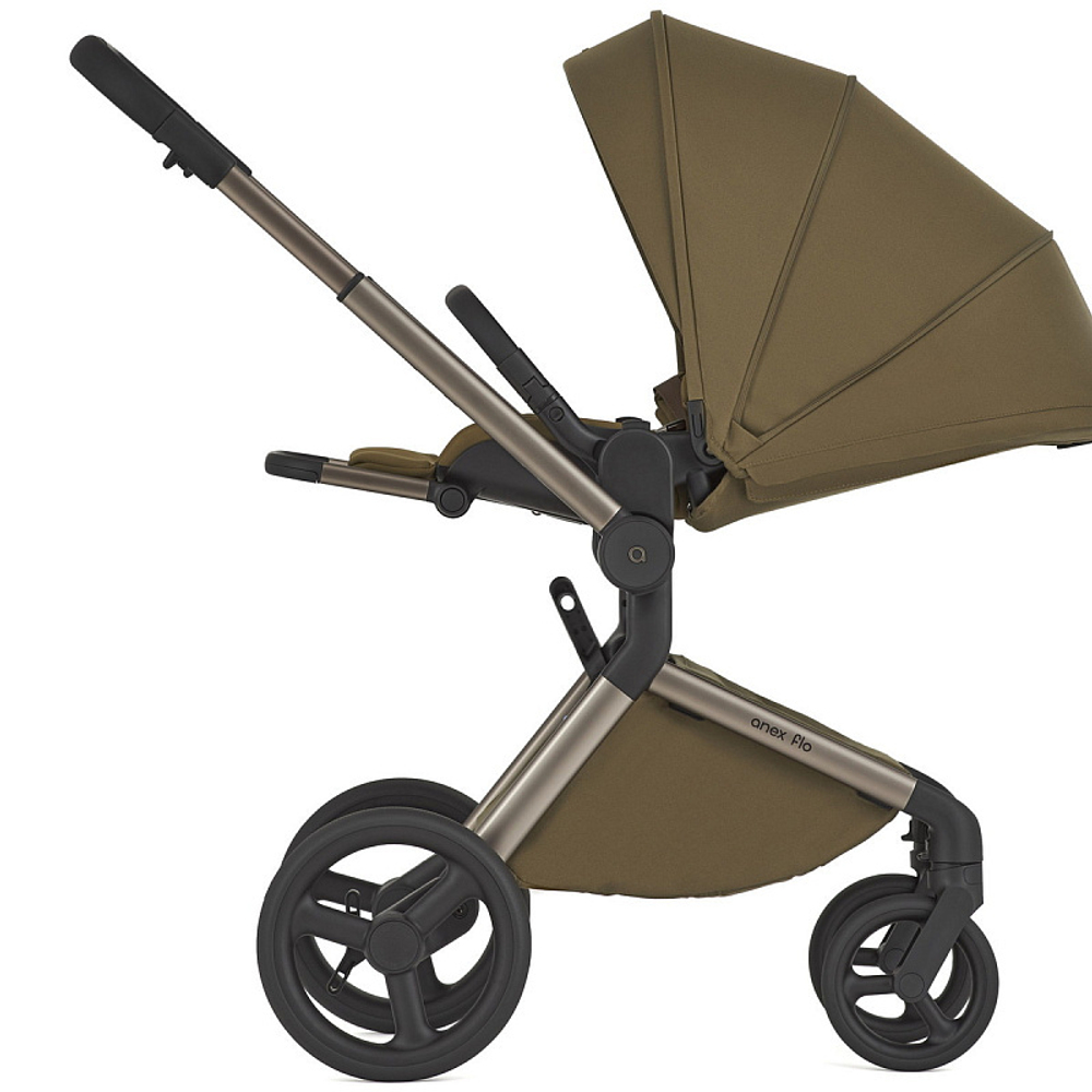 Детская коляска Anex Flo 2 в 1 Astra