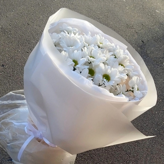 Букет хризантемы Бакарди "Белоснежный"