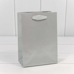 Пакет подарочный 14х20х8см Премиум "Элегант" (Серебряный)