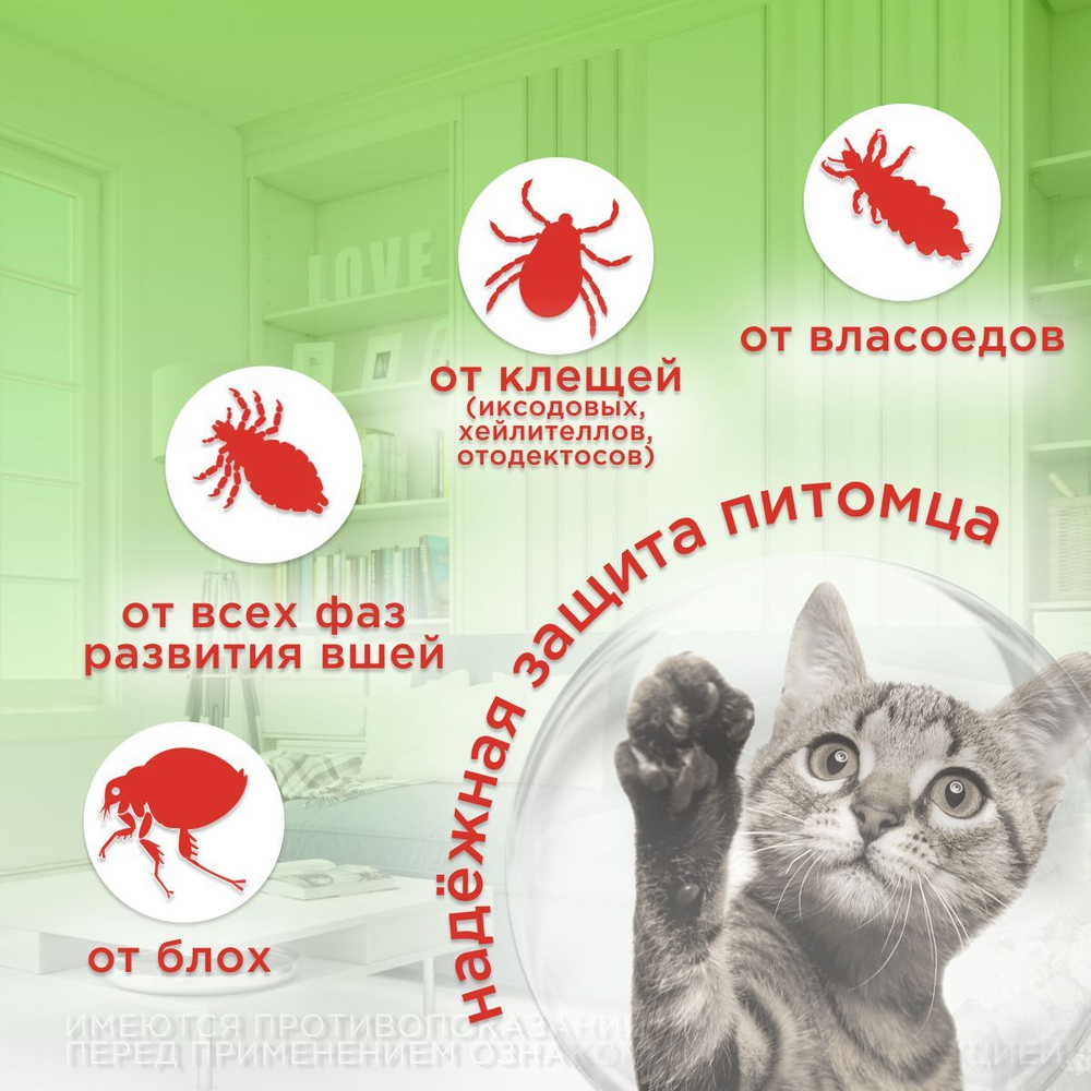 Капли на холку от блох, клещей, вшей и власоедов для котят и кошек до 3 кг Дана Спот-Он (Apicenna), 2 пипетки Фипронил