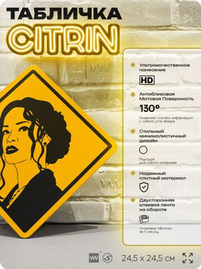 Табличка декоративная "Рианна, Rihanna" на дверь и стену, прикольная штука в подарок, декоративный знак, 24,5х24,5 см, пластиковая, Айдентика Технолоджи