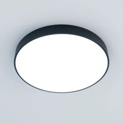 Citilux Купер CL72495G1 LED RGB Светильник с пультом Чёрный