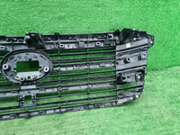Решетка радиатора Toyota Land Cruiser 300 (21-нв)