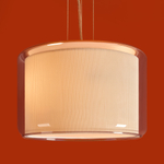 Подвесной светильник Freya FR2055PL-02CH