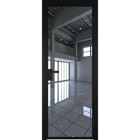 Алюминиевая дверь 1AG чёрная матовая RAL9005 остеклённая