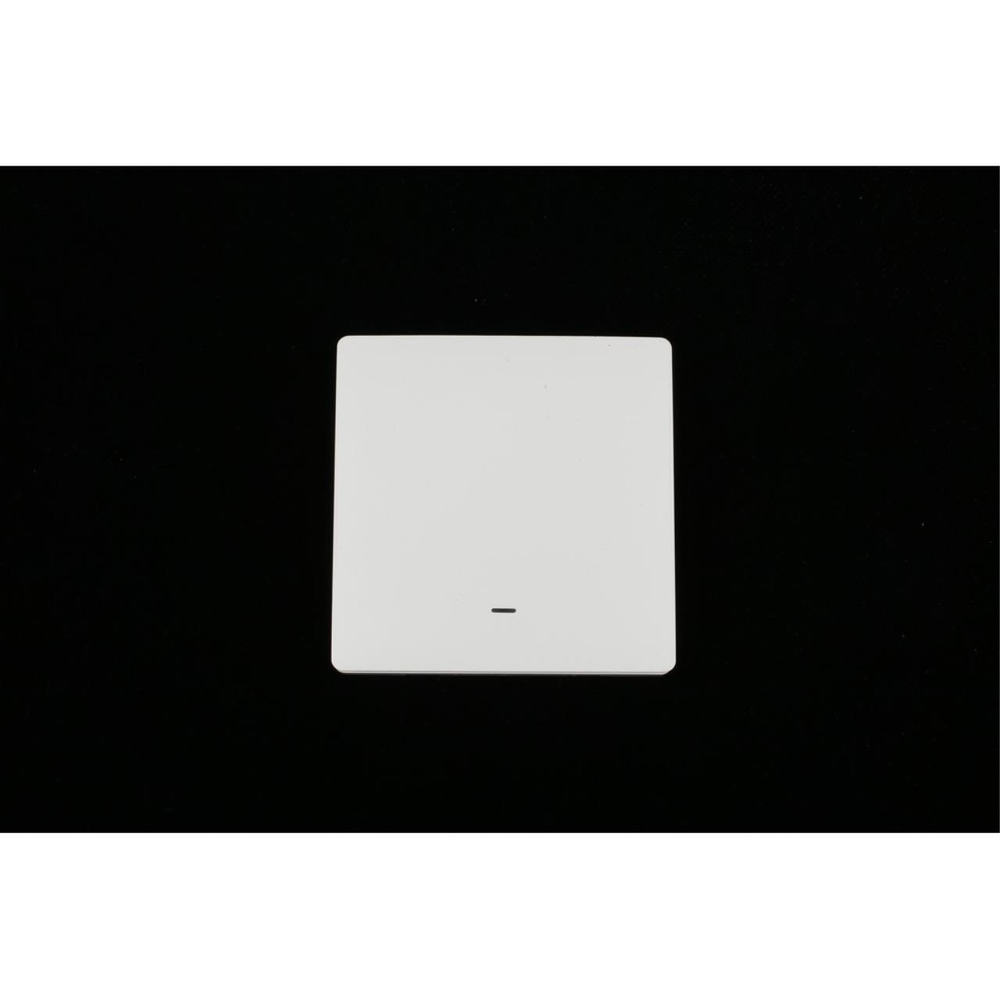 Выключатель одноклавишный Aployt Magnetic track 220 APL.0190.00.01