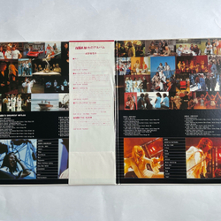 Винтажная виниловая пластинка LP ABBA АББА, ABBA's Greatest Hits 24 (Япония 1980) (Оби)