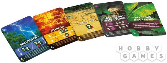 Игра "Амазония"