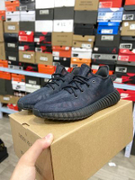 Купить кроссовки adidas Yeezy Boost 350 V2 "Mono Cinder"