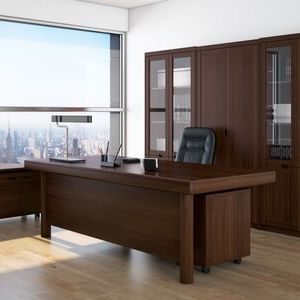 Кабинет руководителя Zaragoza