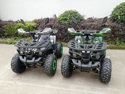 Квадроцикл GreenCamel Атакама T520 (60V 1500W R8 Дифференциал)