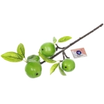Муляж «Ветка яблоки зеленые» 40см