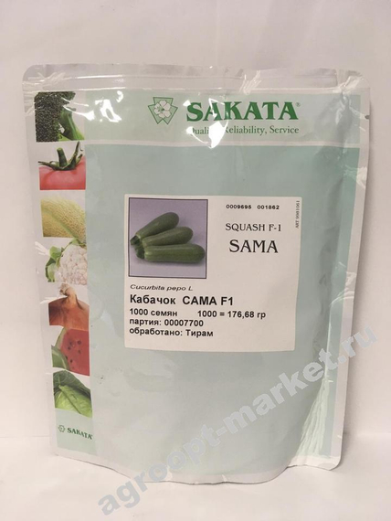 Сама F1 семена кабачка (Sakata / Саката) – фото 2