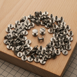 Винт ременной закругленный из нержавеющей стали, диаметр 10 мм