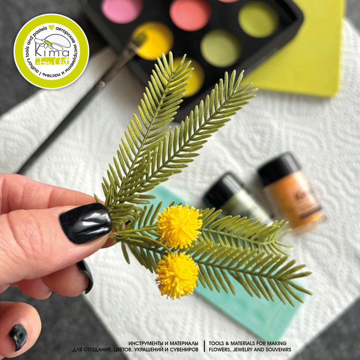 Мимоза набор