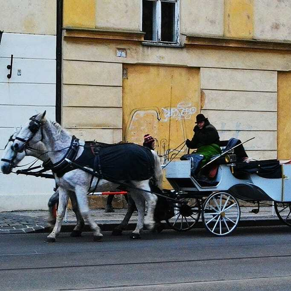 Грифон