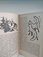 В долинах Рингваака