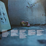 Suede / Night Thoughts (2LP)