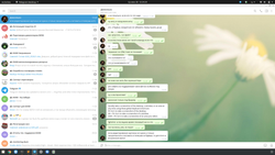 тест комплект