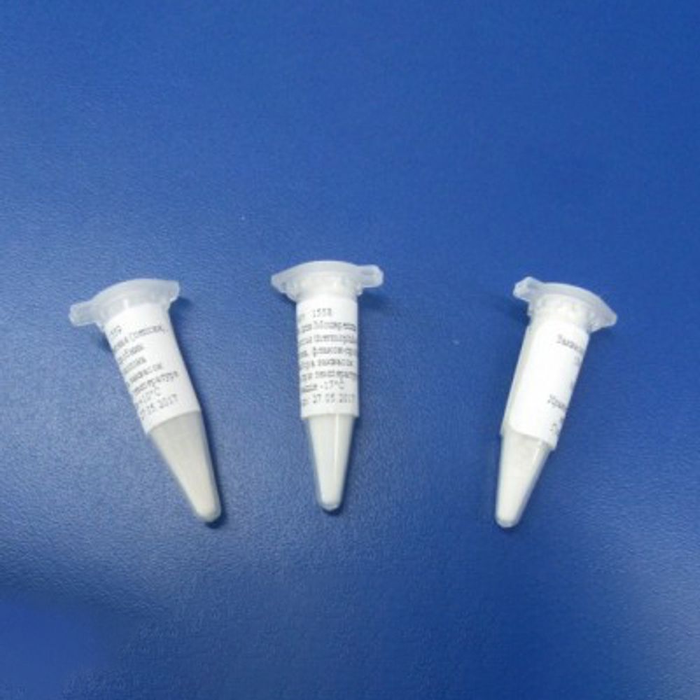 Закваска для Качотты на 10л молока