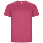 Мужская спортивная футболка Imola с коротким рукавом