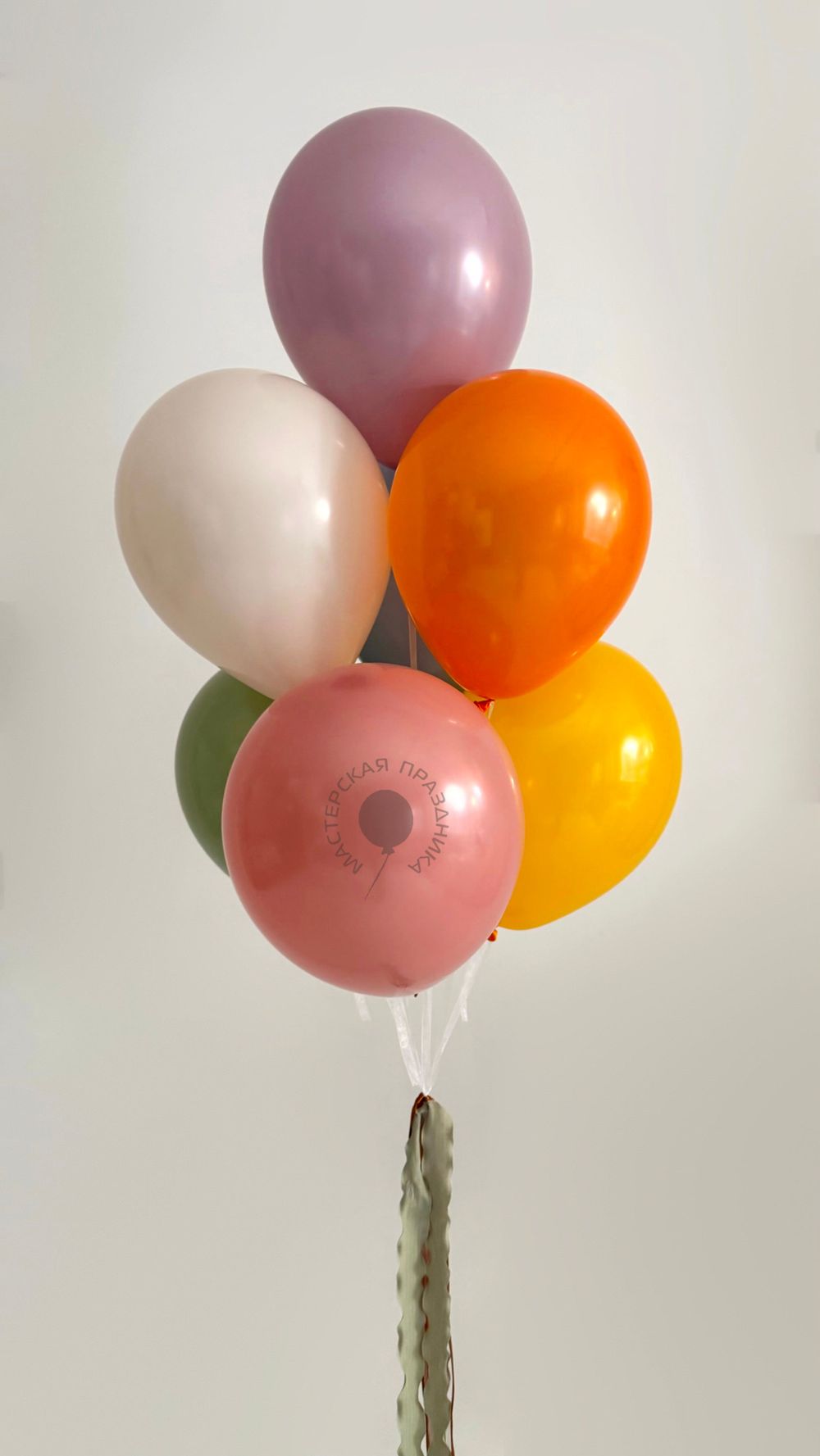 Воздушные шары Динозавр №8907  Изображение5