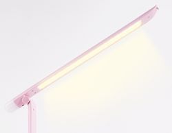 Ambrella Настольная светодиодная лампа с ночником Desk DE551