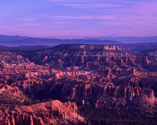 Природа 2 №20 Фотообои и Фрески ручной работы