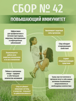 Сбор № 42 Повышающий иммунитет