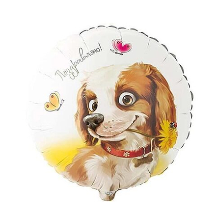 Воздушный шарик "ПОЗДРАВЛЯЮ Собака с цветком" 45см