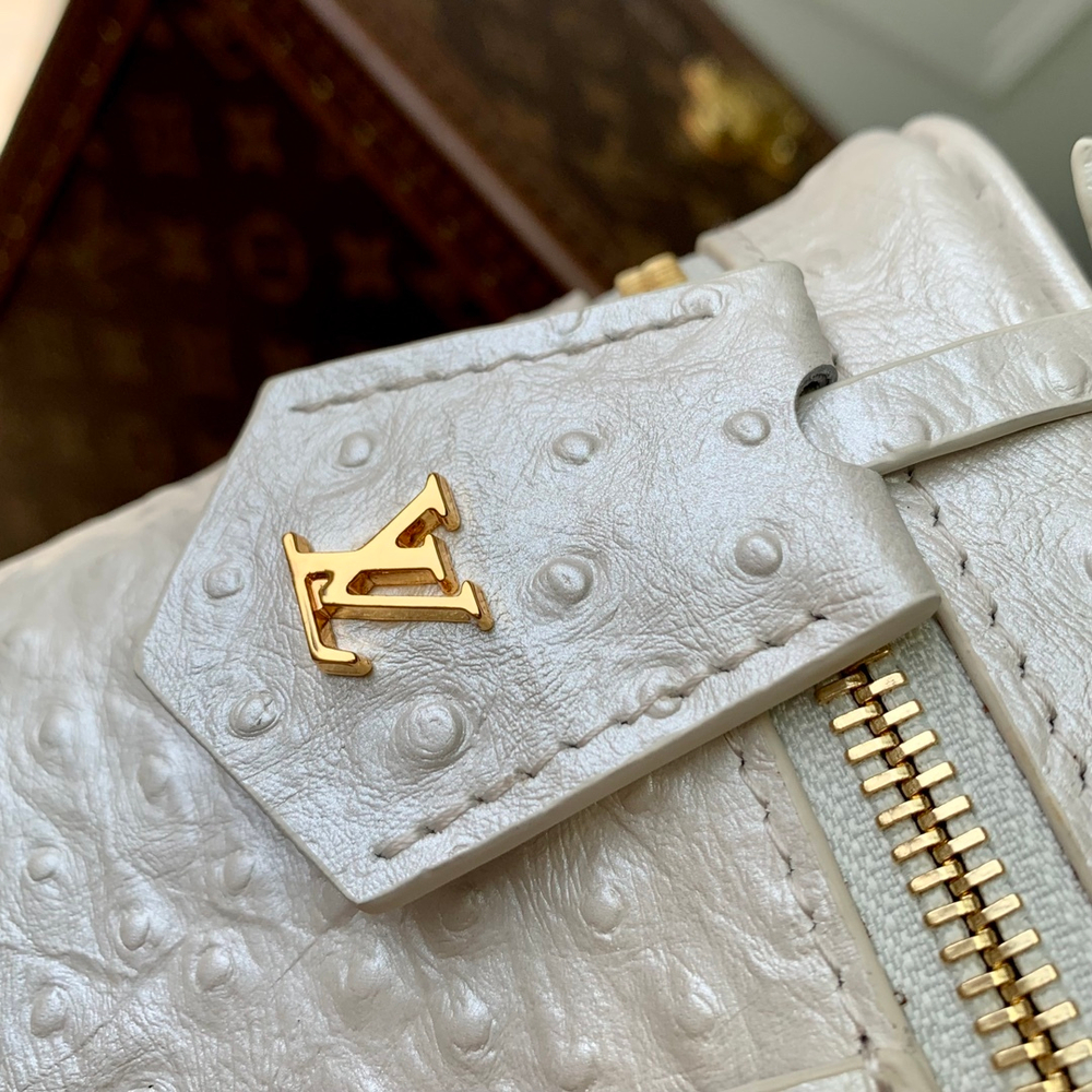 Louis Vuitton Vanity Chain Pouch