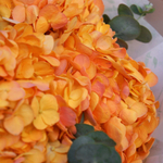 Онлайн-витрина