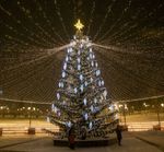 Светодинамическая елка ствольная со скамейкой, встроенная гирлянда: Теплый свет - "Лесная" (Литая хвоя) 18 м