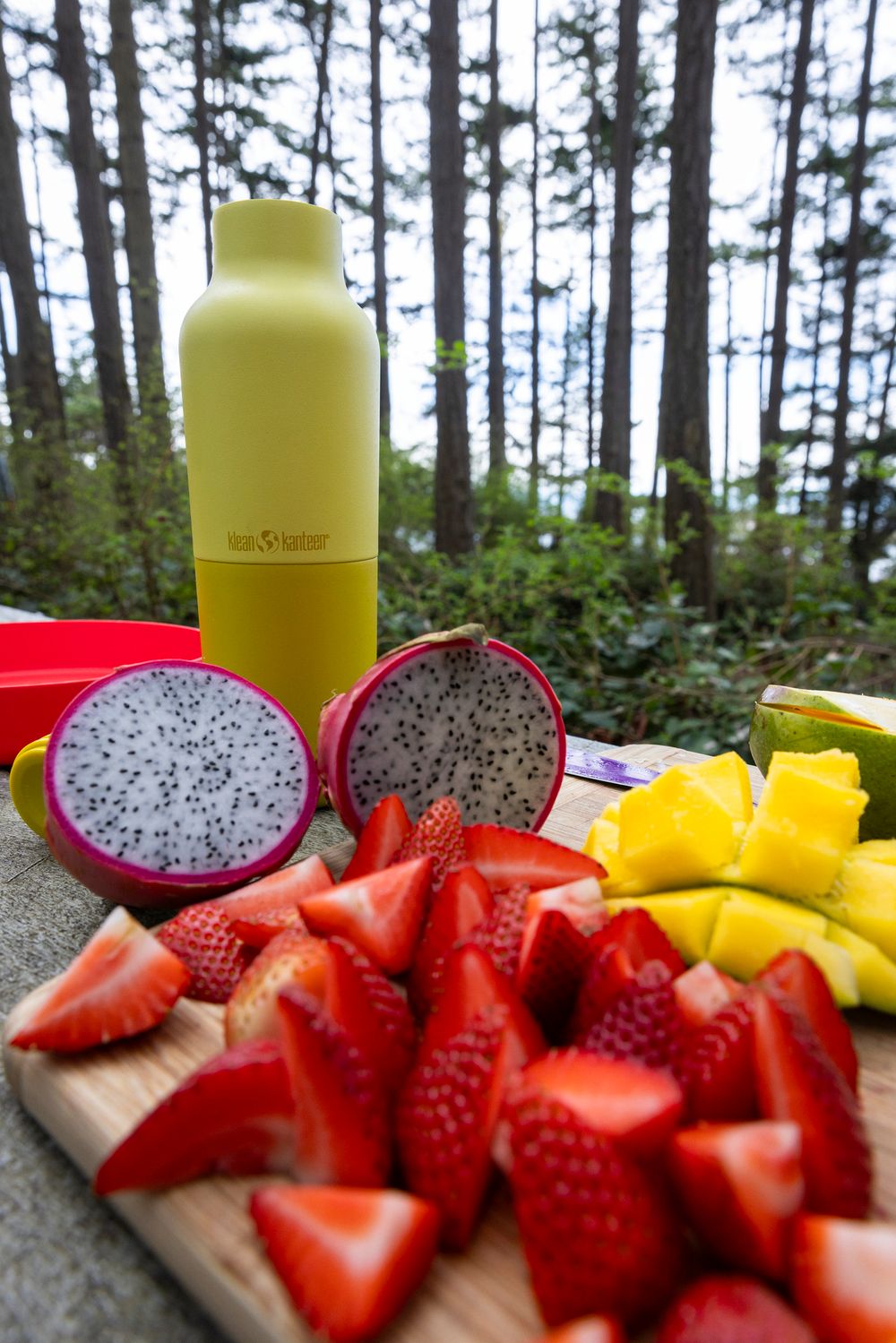 Термобутылка Klean Kanteen Rise Vac Classic Arch Loop 20oz (592 мл) Acacia