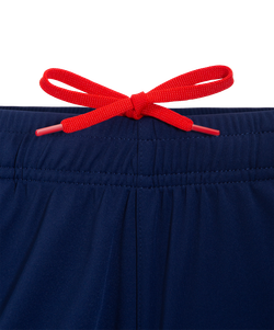 Шорты тренировочные JÖGEL NATIONAL PerFormDRY Training Shorts, темно-синий