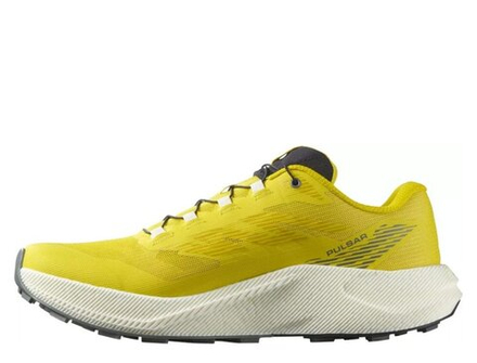 Кроссовки для бега мужские Salomon Pulsar M Медово-Ванильные