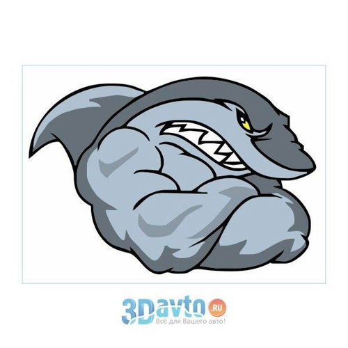 Наклейка  Акула качок  (240х350) полноцветная (уп. 1шт.) (A-STICKER)