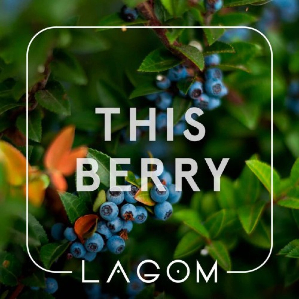 Lagom Navy Line - This Berry (40g)