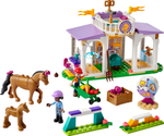 Конструктор LEGO Friends 41746 Тренировка лошадей