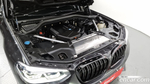 BMW X4 (G02) xDrive20d xLine (05.2020)