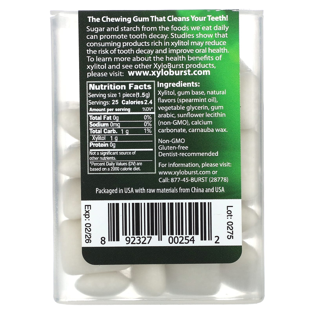 Xyloburst, ксилитоловая камедь, мятная жевательная камедь, 25 шт., 37,5 г (1,33 унции)